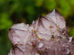 Natural Rare Smokey Amethyst Spirit Quartz Cluster x 1 From Boekenhouthoek, South Africa