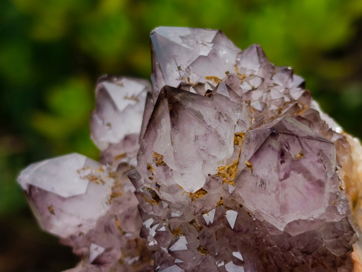 Natural Rare Smokey Amethyst Spirit Quartz Cluster x 1 From Boekenhouthoek, South Africa