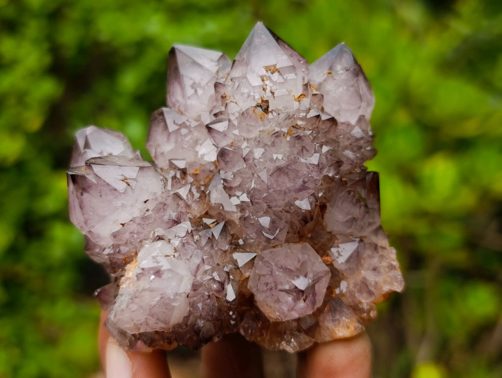 Natural Rare Smokey Amethyst Spirit Quartz Cluster x 1 From Boekenhouthoek, South Africa