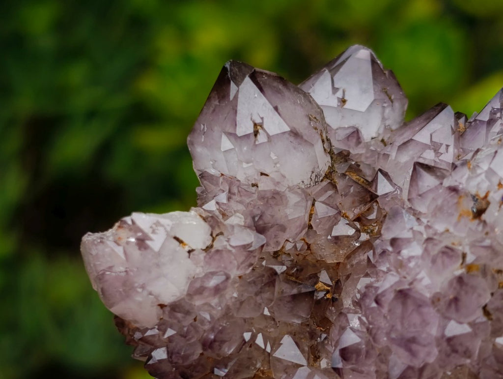 Natural Rare Smokey Amethyst Spirit Quartz Cluster x 1 From Boekenhouthoek, South Africa