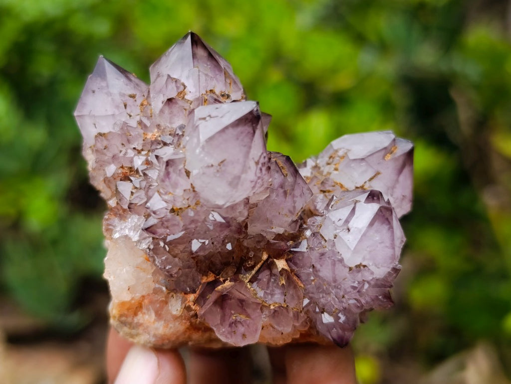 Natural Rare Smokey Amethyst Spirit Quartz Cluster x 1 From Boekenhouthoek, South Africa