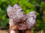Natural Rare Smokey Amethyst Spirit Quartz Cluster x 1 From Boekenhouthoek, South Africa