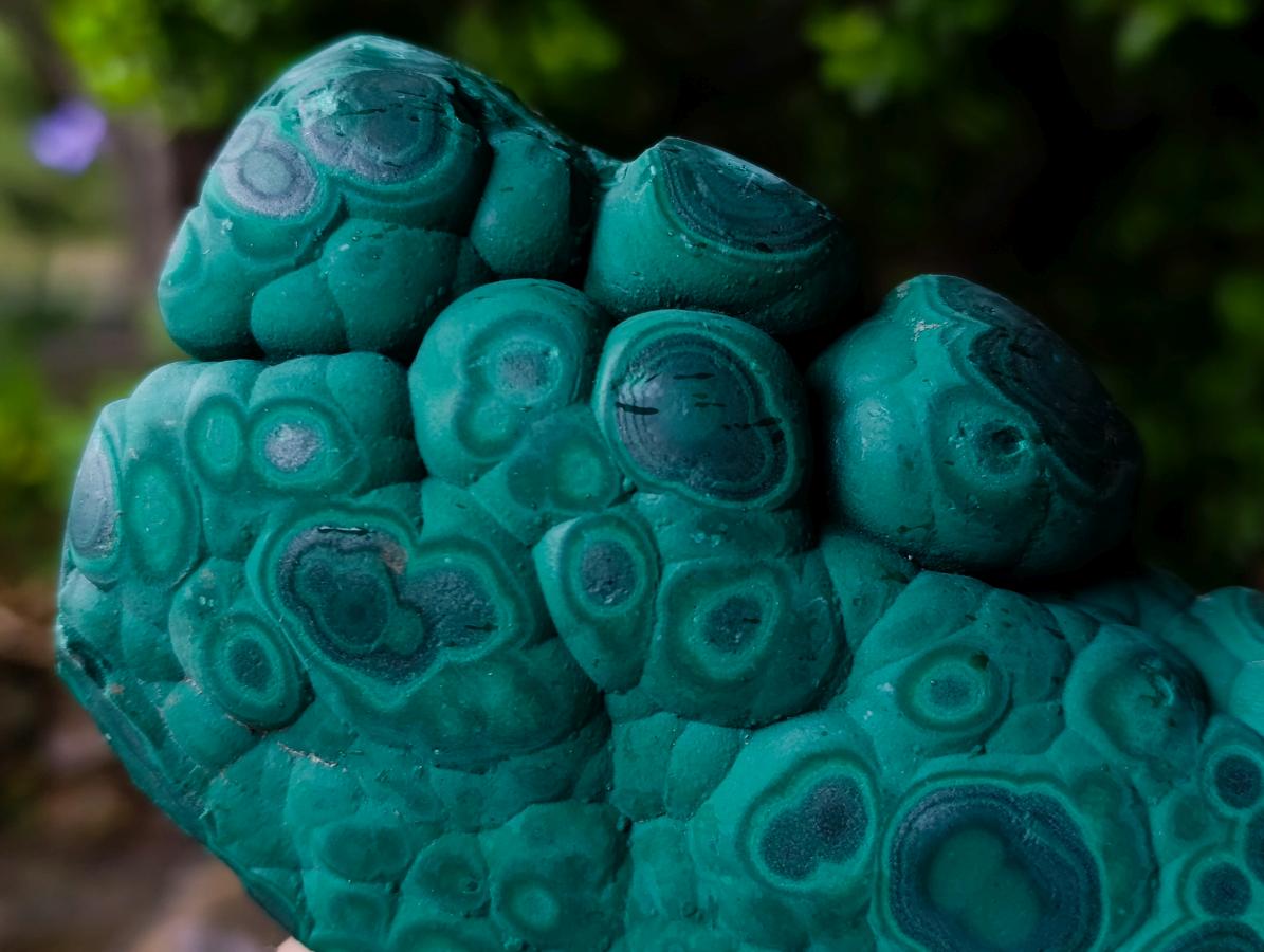 Polished and Natural Unique Matte Polished Botryoidal Malachite Standing Display Specimen x 1 From Kolwezi, Congo