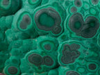 Polished and Natural Unique Matte Polished Botryoidal Malachite Standing Display Specimen x 1 From Kolwezi, Congo