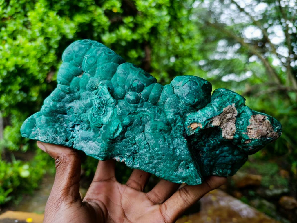 Polished and Natural Unique Matte Polished Botryoidal Malachite Standing Display Specimen x 1 From Kolwezi, Congo
