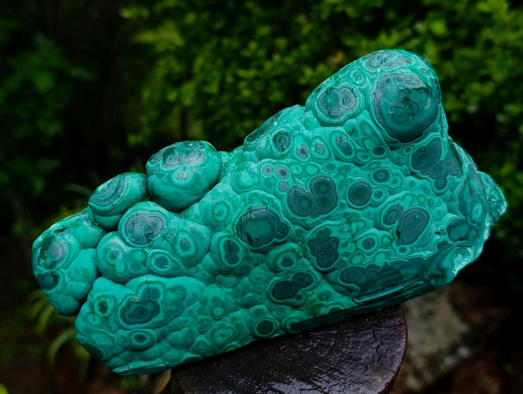 Polished and Natural Unique Matte Polished Botryoidal Malachite Standing Display Specimen x 1 From Kolwezi, Congo