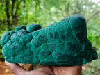 Polished and Natural Unique Matte Polished Botryoidal Malachite Standing Display Specimen x 1 From Kolwezi, Congo