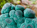 Polished and Natural Unique Matte Polished Botryoidal Malachite Standing Display Specimen x 1 From Kolwezi, Congo