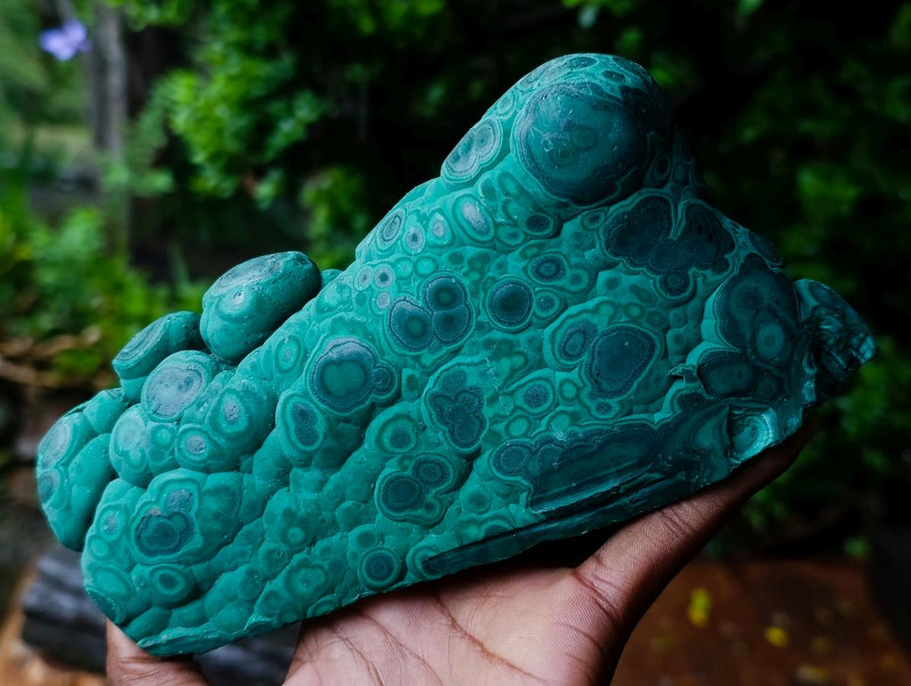 Polished and Natural Unique Matte Polished Botryoidal Malachite Standing Display Specimen x 1 From Kolwezi, Congo