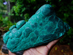 Polished and Natural Unique Matte Polished Botryoidal Malachite Standing Display Specimen x 1 From Kolwezi, Congo