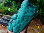 Polished and Natural Unique Matte Polished Botryoidal Malachite Standing Display Specimen x 1 From Kolwezi, Congo