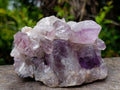 Natural Zambian Amethyst "Smiley" Crystal Cluster x 1 From Zambia