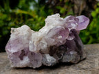 Natural Zambian Amethyst "Smiley" Crystal Cluster x 1 From Zambia