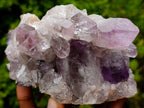 Natural Zambian Amethyst "Smiley" Crystal Cluster x 1 From Zambia