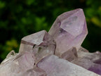 Natural Zambian Amethyst "Smiley" Crystal Cluster x 1 From Zambia
