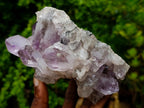 Natural Zambian Amethyst "Smiley" Crystal Cluster x 1 From Zambia