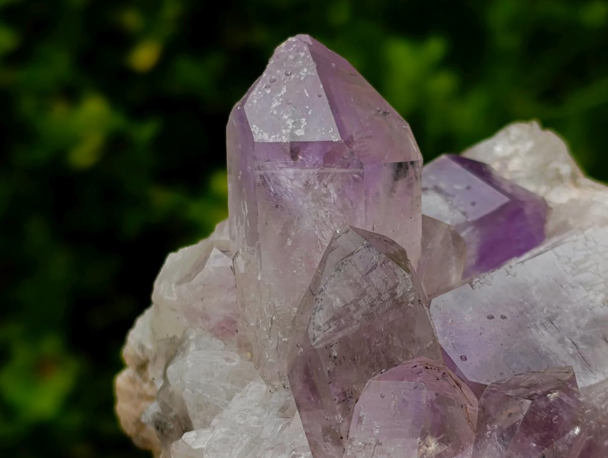 Natural Zambian Amethyst "Smiley" Crystal Cluster x 1 From Zambia