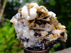 Natural Classic Multi-Mineral Sphalerite Hydrothermal Specimen x 1 From Madan Mine, Bulgaria