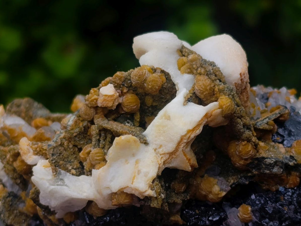 Natural Classic Multi-Mineral Sphalerite Hydrothermal Specimen x 1 From Madan Mine, Bulgaria