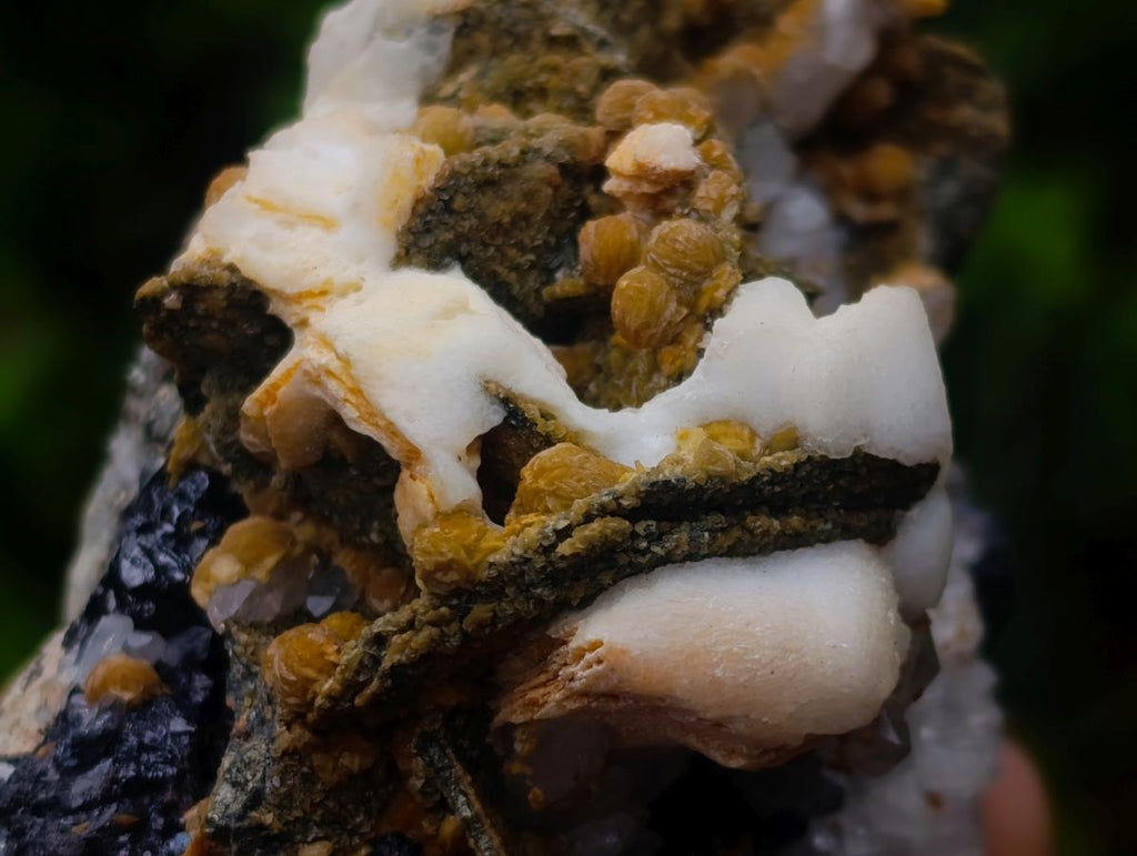 Natural Classic Multi-Mineral Sphalerite Hydrothermal Specimen x 1 From Madan Mine, Bulgaria