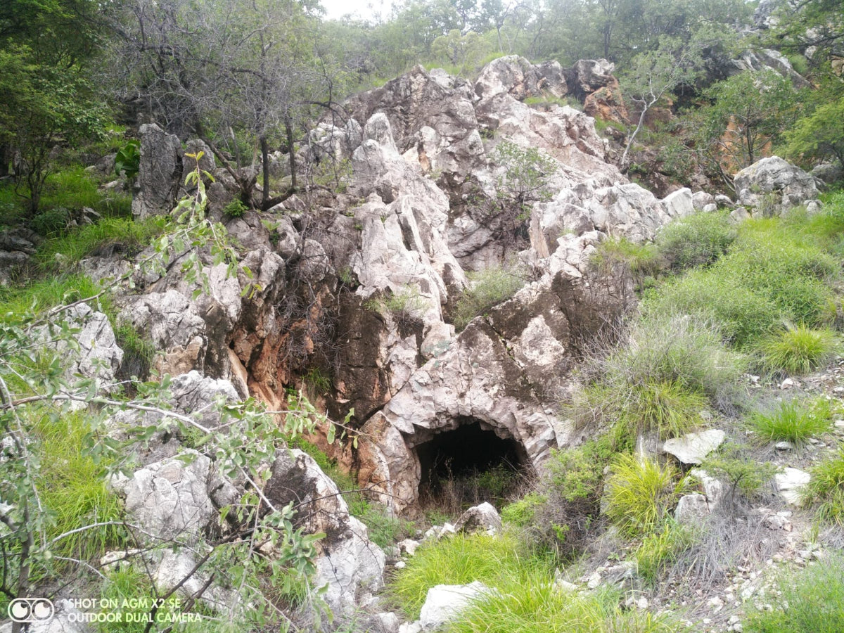 Polished XXXL Septerye Sauvage "Dragons Egg" With Removable Cap x 1 From Mahajanga, Madagascar