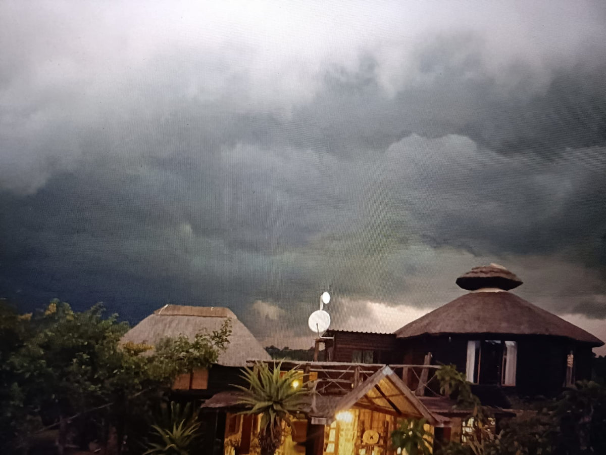 Hand Made XXL Stromatolite Standing Leaf Sculpture x 1 From Mahajanga, Madagascar
