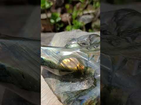 Hand Made XXL Crocodile Labradorite Carving x 1 From Tulear, Madagascar