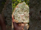 Natural XL Exquisite Barite Specimen x 1 From Shinkolobwe mine, Congo