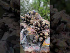 Natural Rare "Blacknite Quartz" Iridescent Cluster x 1 From Madagascar
