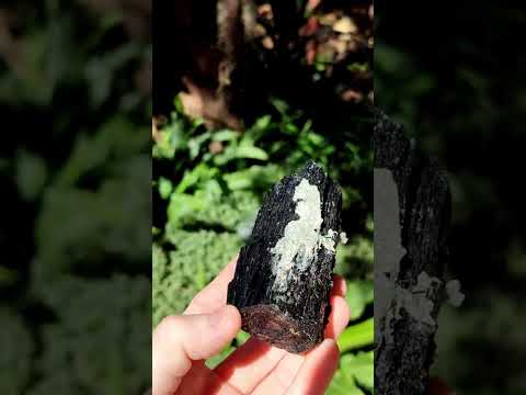 Natural Large Schorl Black Tourmaline Crystal with Goshenite and Hyalite Opal x 1 From Erongo, Namibia