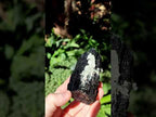 Natural Large Schorl Black Tourmaline Crystal with Goshenite and Hyalite Opal x 1 From Erongo, Namibia