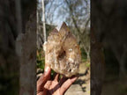 Natural White Phantom Centred Cascading Smokey Citrine Crystal Cluster x 1 From Luena, Congo