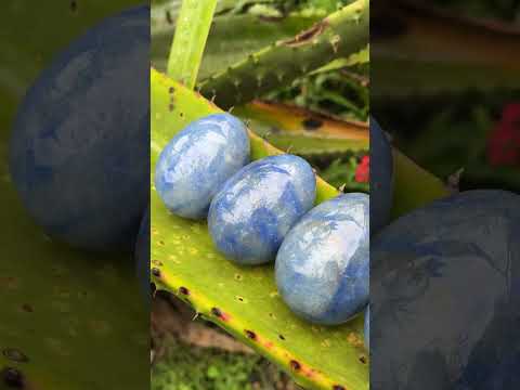 Polished Large Blue Marble Eggs - Sold Per Piece - From China