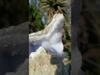 Natural Large Crystalline Blue Lace Agate Specimen x 1 From Nsanje, Malawi