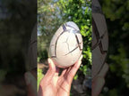 Polished Septerye Sauvage Dragons Egg x 1 From Mahajanga, Madagascar