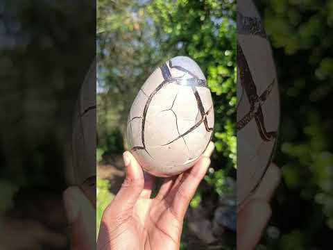 Polished Septerye Sauvage Dragons Egg x 1 From Mahajanga, Madagascar