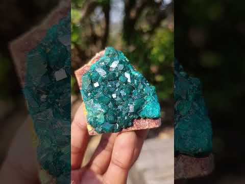 Natural Small 6.6 cm Dioptase Specimen on a Dolomite Matrix x 1 From Mashamba East Mine, Congo