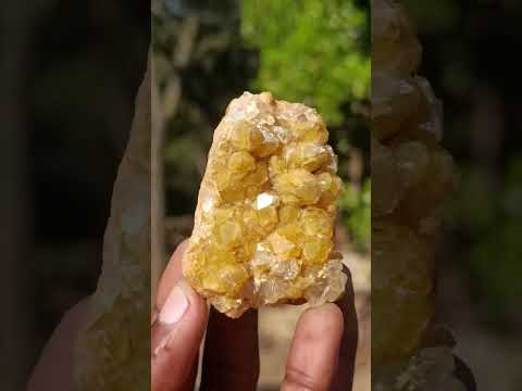 Natural Mix Set of 12 African Minerals, Crystals and Fossils in a Wooden Display Box x 1 From Southern Africa