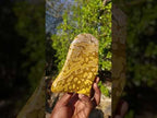 Polished Large Orbicular Ocean Jasper Standing Display Piece x 1 From Madagascar