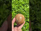 Polished Chatoyant Peach Moonstone Sphere x 1 From Madagascar