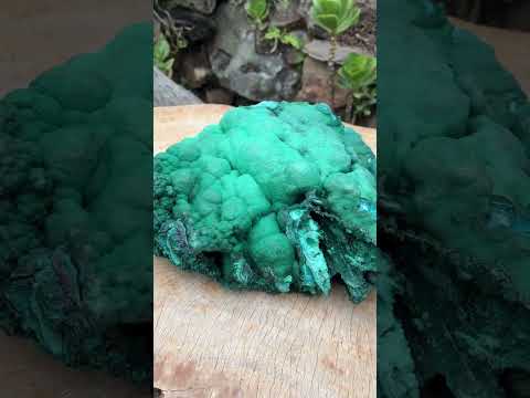 Natural Extra Large Botryoidal Malachite with Chrysocolla Specimen x 1 From Kolwezi, Congo