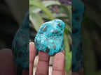Polished and Natural Mixed Set of 20 African Minerals Crystals and Fossil in a Wooden Display Box x 1 From Southern Africa