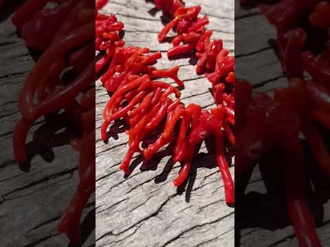 Hand Made Authentic Frangia Natural Red Coral Necklace x 1 From Italy
