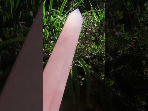 Polished Gemmy Long Rose Quartz Standing Prism x 1  From Ambatondrazaka, Madagascar