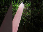 Polished Gemmy Long Rose Quartz Standing Prism x 1  From Ambatondrazaka, Madagascar