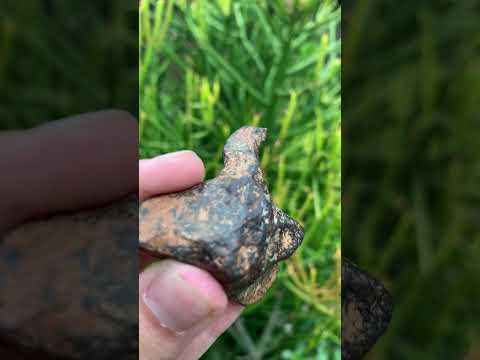 Natural Ultra Rare Small Gibeon Meteorite Specimen x 1 From Gibeon, Namibia