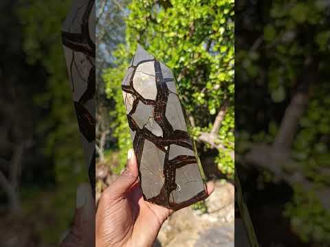 Polished and Natural Large Septerye Sauvage Display Crystal x 1 From Mahajanga, Madagascar
