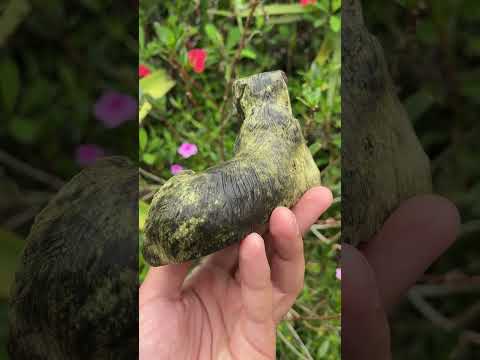 Hand Made Leopard Stone Collie Dog Carving x 1 From Zimbabwe