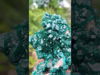Natural Exquisite and Classic Emerald Green Large Cabinet Sized Dioptase Specimen x 1 From Tantara, Congo