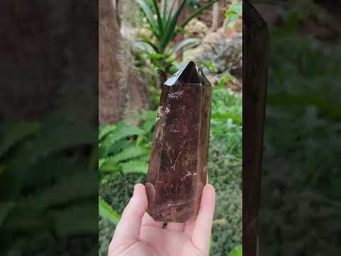 Polished Large Smokey Morion Quartz Crystal x 1 From Madagascar